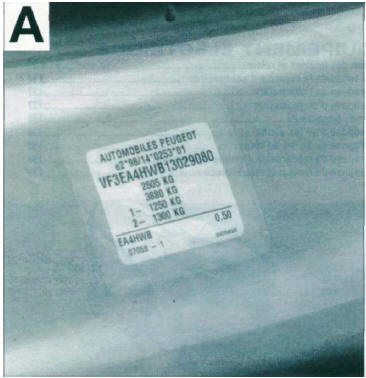 NUMÉRO D'IDENTIFICATION (B)